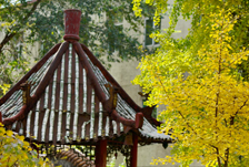 太阳集团2138网址