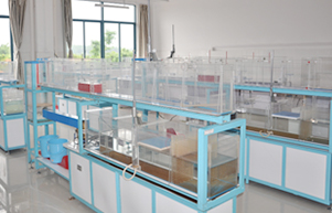 太阳集团2138网址